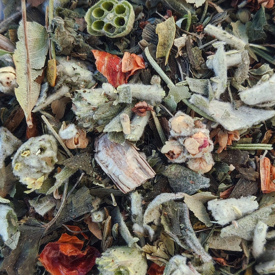 Image for