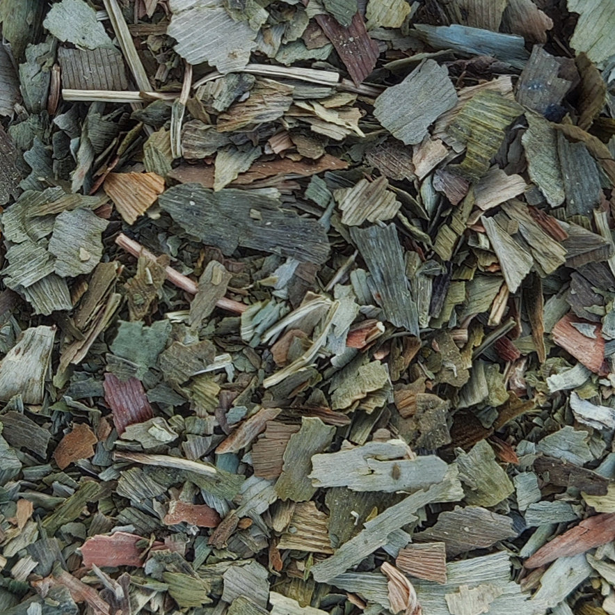 Image for Maidenhair Tree (Ginkgo / Gingko Biloba)