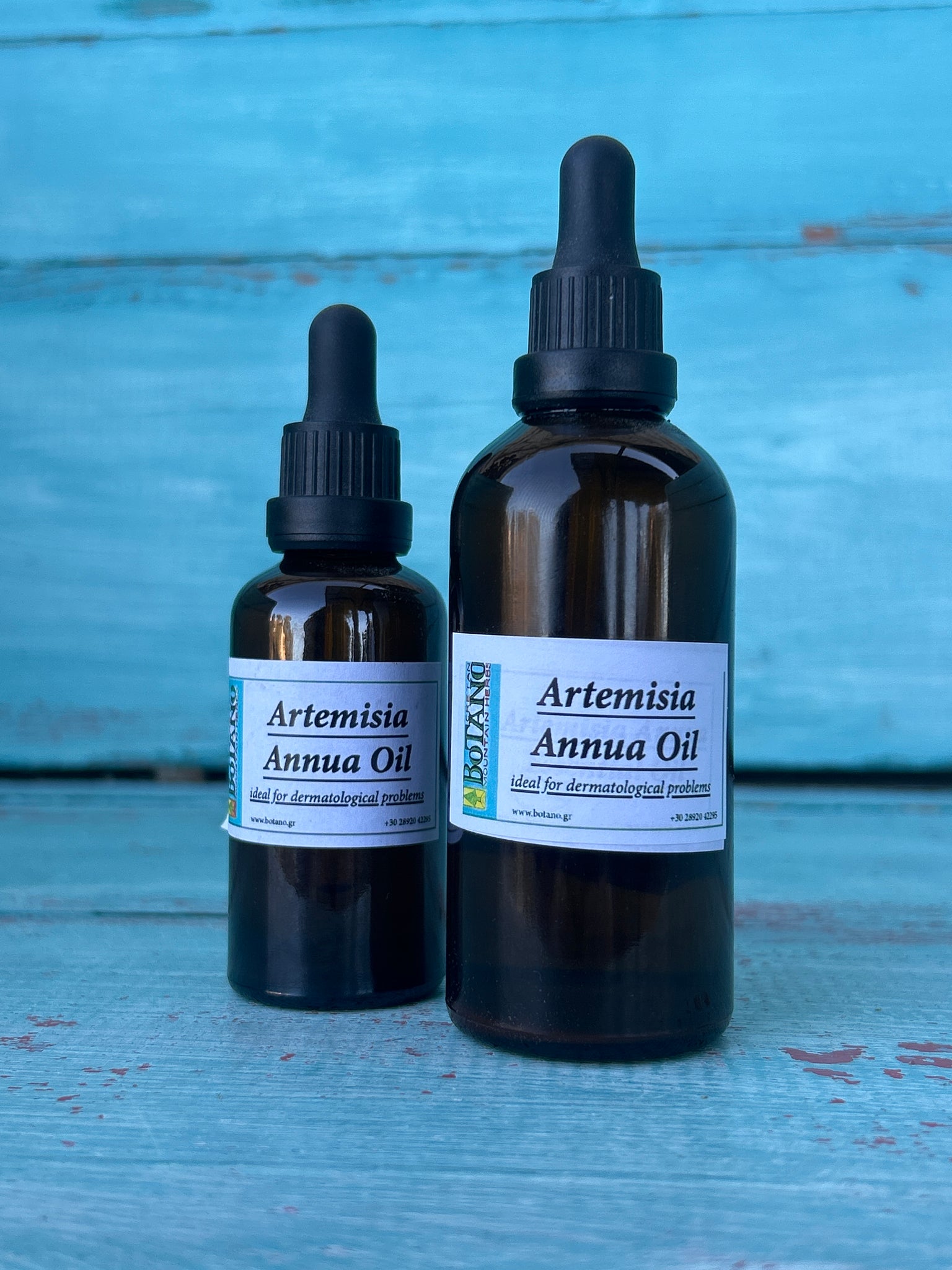 Artemisia annua (sweet wormwood) Infused Olive Oil