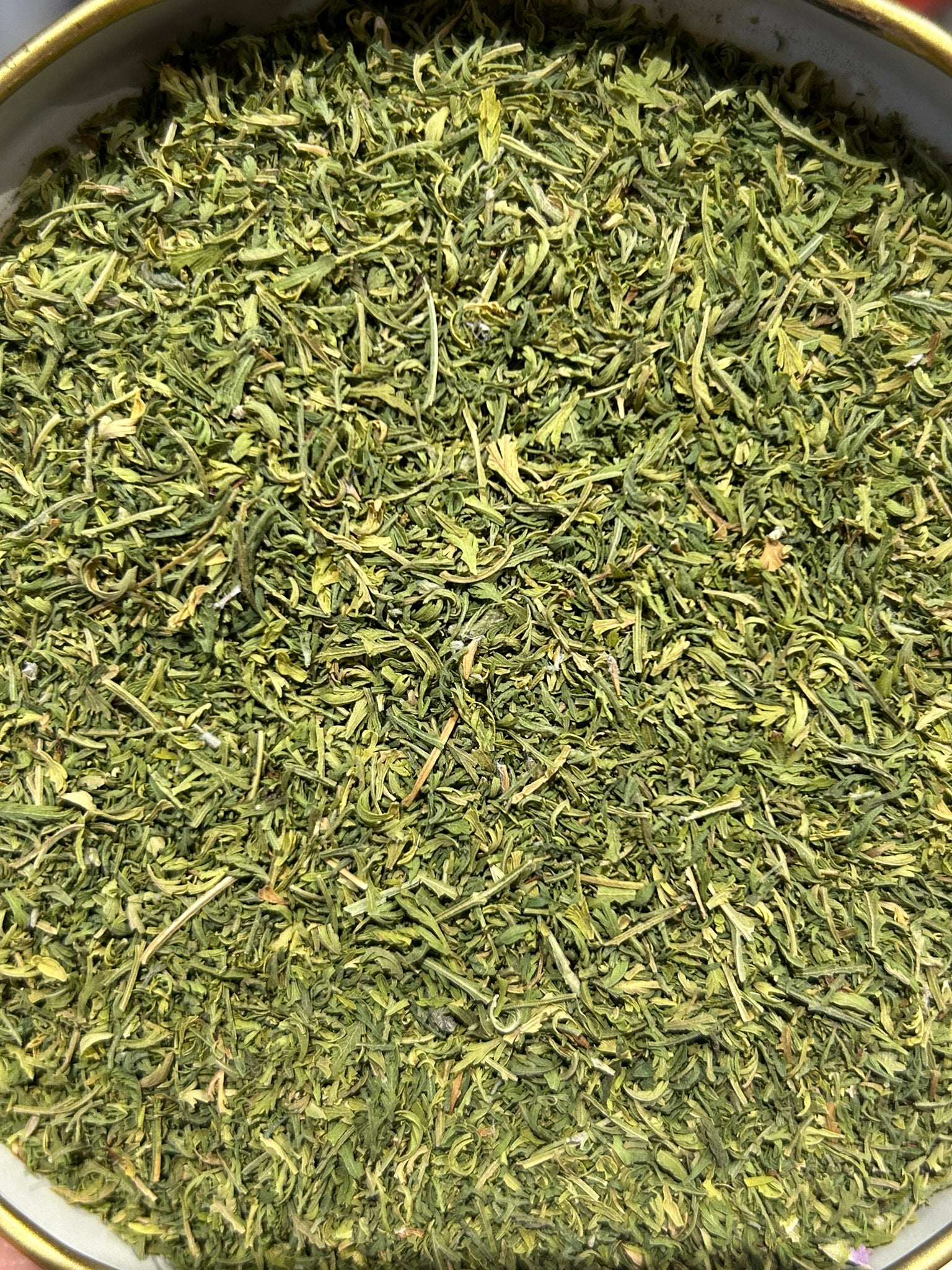 Sweet Wormwood | Organic (Artemisia Annua)