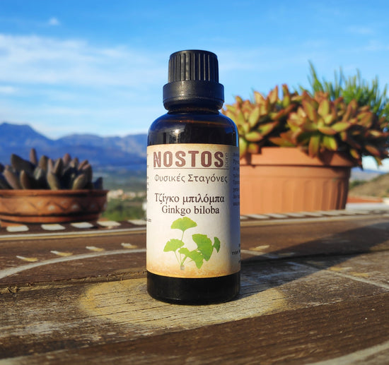 Ginkgo Biloba Tincture (Maidenhair Tree)