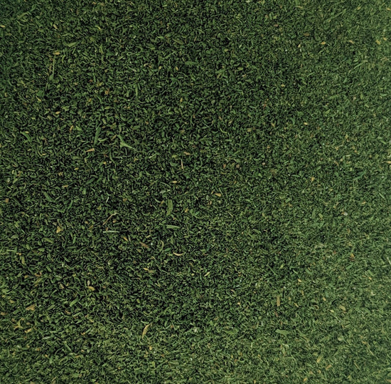 Sweet Wormwood Powder (Artemisia Annua) I Organic