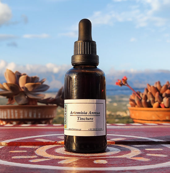 Sweet Wormwood Tincture (Artemisia Annua)